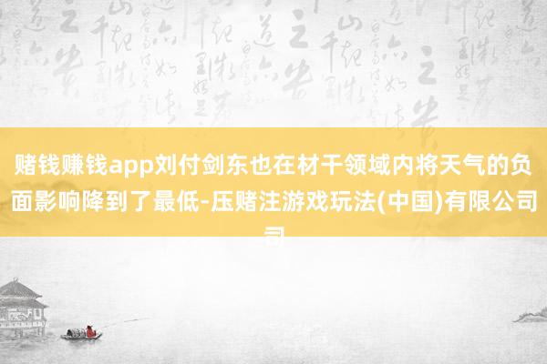 赌钱赚钱app刘付剑东也在材干领域内将天气的负面影响降到了最低-压赌注游戏玩法(中国)有限公司