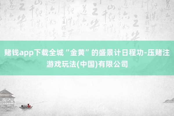 赌钱app下载全城“金黄”的盛景计日程功-压赌注游戏玩法(中国)有限公司