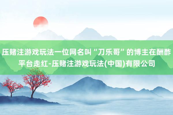 压赌注游戏玩法一位网名叫“刀乐哥”的博主在酬酢平台走红-压赌注游戏玩法(中国)有限公司