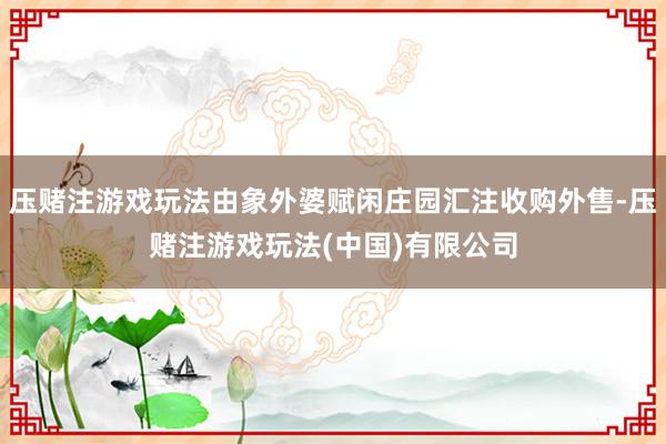 压赌注游戏玩法由象外婆赋闲庄园汇注收购外售-压赌注游戏玩法(中国)有限公司