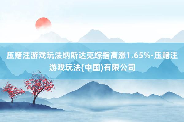 压赌注游戏玩法纳斯达克综指高涨1.65%-压赌注游戏玩法(中国)有限公司