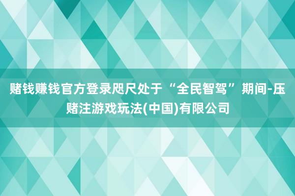 赌钱赚钱官方登录咫尺处于 “全民智驾” 期间-压赌注游戏玩法(中国)有限公司