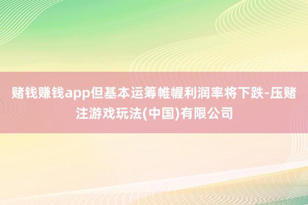 赌钱赚钱app但基本运筹帷幄利润率将下跌-压赌注游戏玩法(中国)有限公司