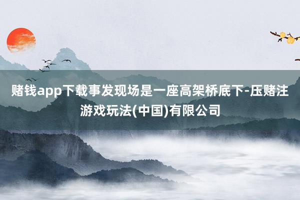赌钱app下载事发现场是一座高架桥底下-压赌注游戏玩法(中国)有限公司