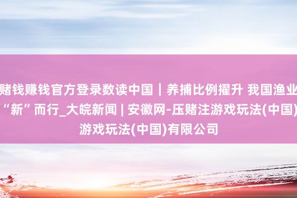 赌钱赚钱官方登录数读中国｜养捕比例擢升 我国渔业当代化向“新”而行_大皖新闻 | 安徽网-压赌注游戏玩法(中国)有限公司