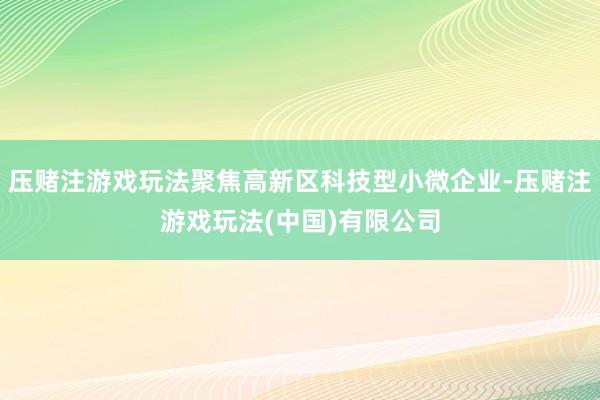 压赌注游戏玩法聚焦高新区科技型小微企业-压赌注游戏玩法(中国)有限公司