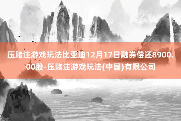 压赌注游戏玩法比亚迪12月17日融券偿还8900.00股-压赌注游戏玩法(中国)有限公司
