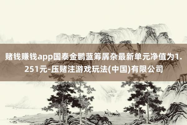赌钱赚钱app国泰金鹏蓝筹羼杂最新单元净值为1.251元-压赌注游戏玩法(中国)有限公司