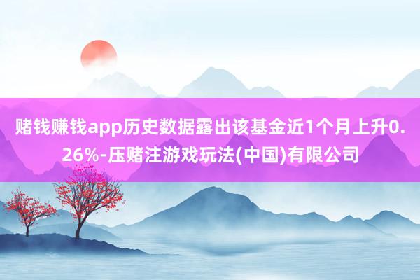 赌钱赚钱app历史数据露出该基金近1个月上升0.26%-压赌注游戏玩法(中国)有限公司