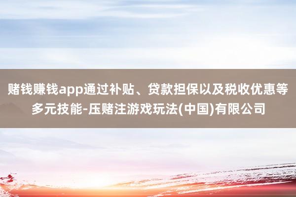赌钱赚钱app通过补贴、贷款担保以及税收优惠等多元技能-压赌注游戏玩法(中国)有限公司