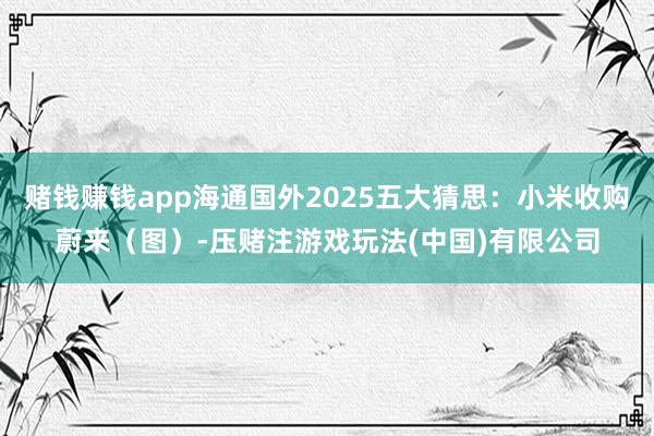 赌钱赚钱app海通国外2025五大猜思：小米收购蔚来（图）-压赌注游戏玩法(中国)有限公司
