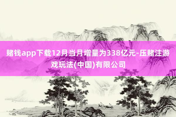 赌钱app下载12月当月增量为338亿元-压赌注游戏玩法(中国)有限公司