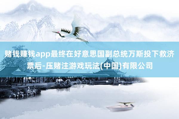 赌钱赚钱app最终在好意思国副总统万斯投下救济票后-压赌注游戏玩法(中国)有限公司