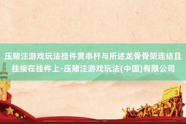 压赌注游戏玩法挂件贯串杆与所述龙骨骨架连结且挂接在挂件上-压赌注游戏玩法(中国)有限公司