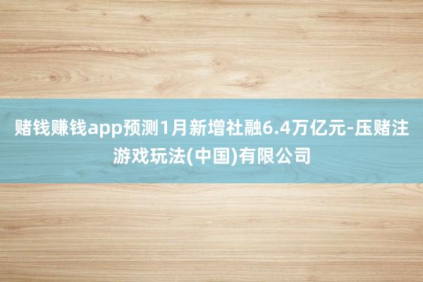 赌钱赚钱app预测1月新增社融6.4万亿元-压赌注游戏玩法(中国)有限公司