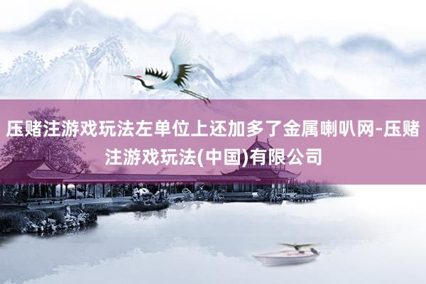 压赌注游戏玩法左单位上还加多了金属喇叭网-压赌注游戏玩法(中国)有限公司