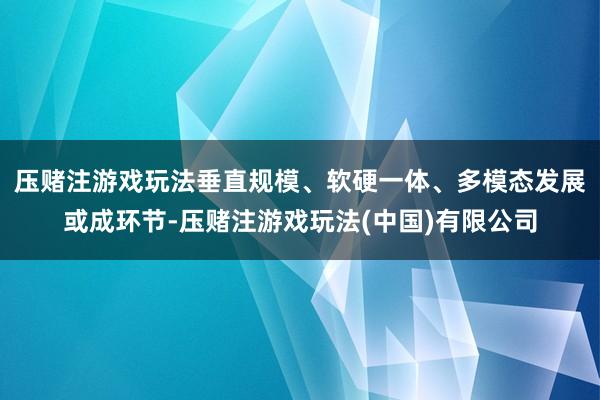 压赌注游戏玩法垂直规模、软硬一体、多模态发展或成环节-压赌注游戏玩法(中国)有限公司