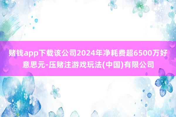 赌钱app下载该公司2024年净耗费超6500万好意思元-压赌注游戏玩法(中国)有限公司