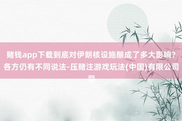 赌钱app下载到底对伊朗核设施酿成了多大影响？各方仍有不同说法-压赌注游戏玩法(中国)有限公司