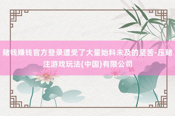 赌钱赚钱官方登录遭受了大量始料未及的坚苦-压赌注游戏玩法(中国)有限公司