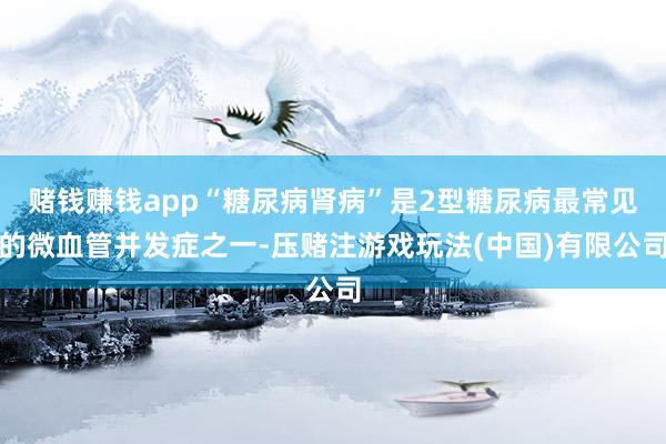 赌钱赚钱app“糖尿病肾病”是2型糖尿病最常见的微血管并发症之一-压赌注游戏玩法(中国)有限公司
