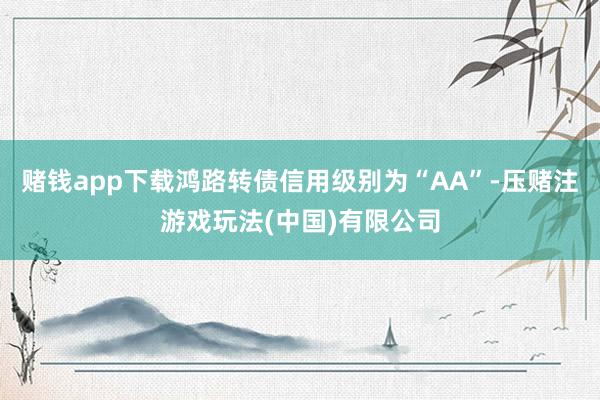 赌钱app下载鸿路转债信用级别为“AA”-压赌注游戏玩法(中国)有限公司