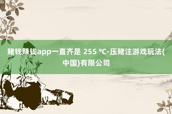 赌钱赚钱app一直齐是 255 ℃-压赌注游戏玩法(中国)有限公司