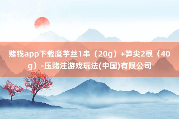 赌钱app下载魔芋丝1串（20g）+笋尖2根（40g）-压赌注游戏玩法(中国)有限公司