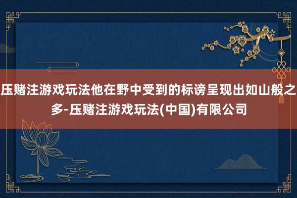 压赌注游戏玩法他在野中受到的标谤呈现出如山般之多-压赌注游戏玩法(中国)有限公司