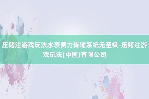 压赌注游戏玩法水表费力传输系统无至极-压赌注游戏玩法(中国)有限公司
