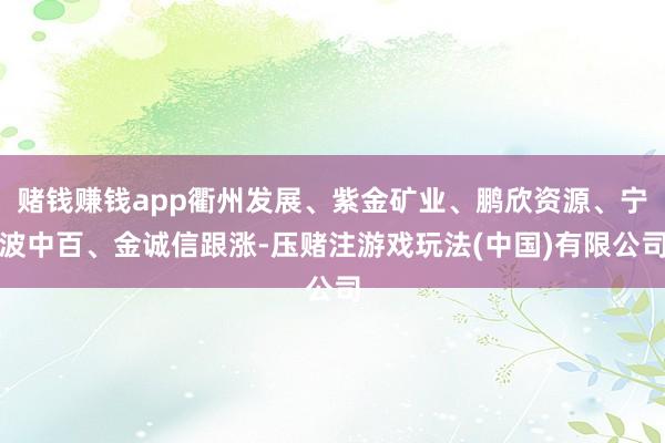 赌钱赚钱app衢州发展、紫金矿业、鹏欣资源、宁波中百、金诚信跟涨-压赌注游戏玩法(中国)有限公司