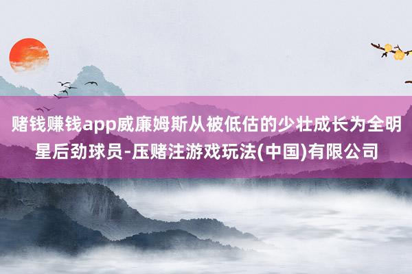 赌钱赚钱app威廉姆斯从被低估的少壮成长为全明星后劲球员-压赌注游戏玩法(中国)有限公司