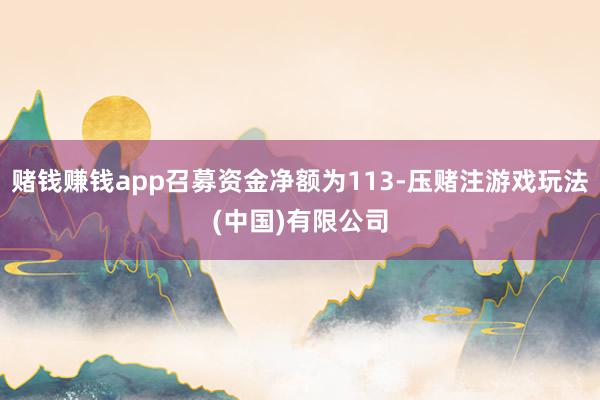 赌钱赚钱app召募资金净额为113-压赌注游戏玩法(中国)有限公司