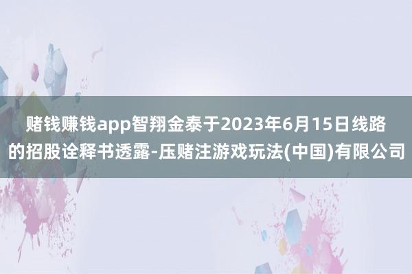 赌钱赚钱app智翔金泰于2023年6月15日线路的招股诠释书透露-压赌注游戏玩法(中国)有限公司