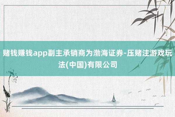 赌钱赚钱app副主承销商为渤海证券-压赌注游戏玩法(中国)有限公司